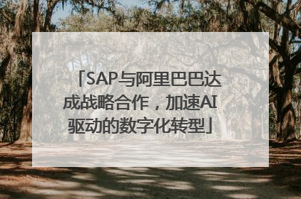 SAP与阿里巴巴达成战略合作，加速AI驱动的数字化转型