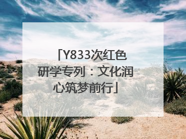 Y833次红色研学专列：文化润心筑梦前行